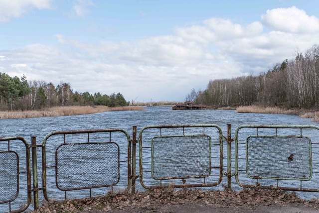 체르노빌 원전사고로 만들어진 죽음의 강